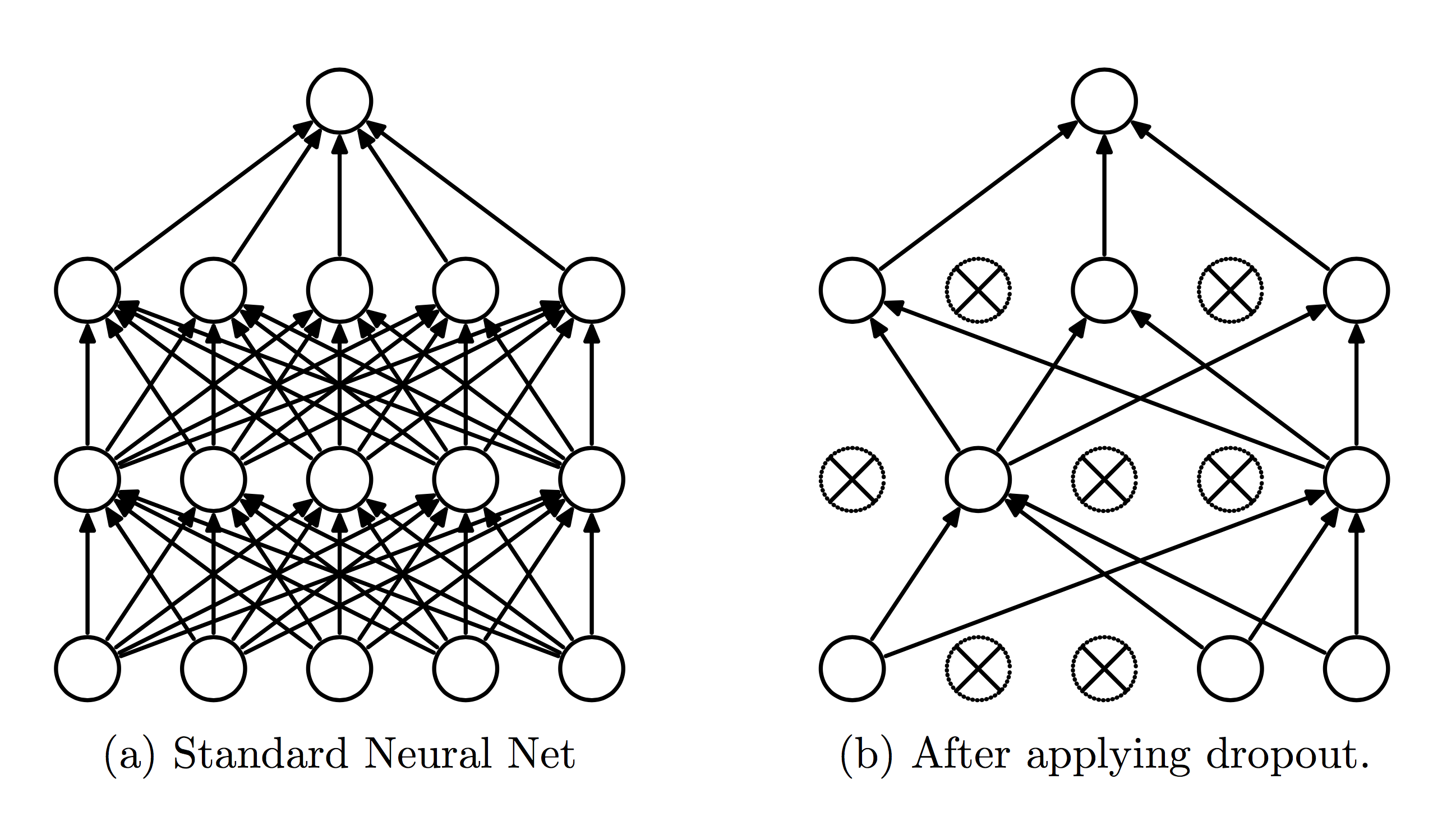 Dropout network