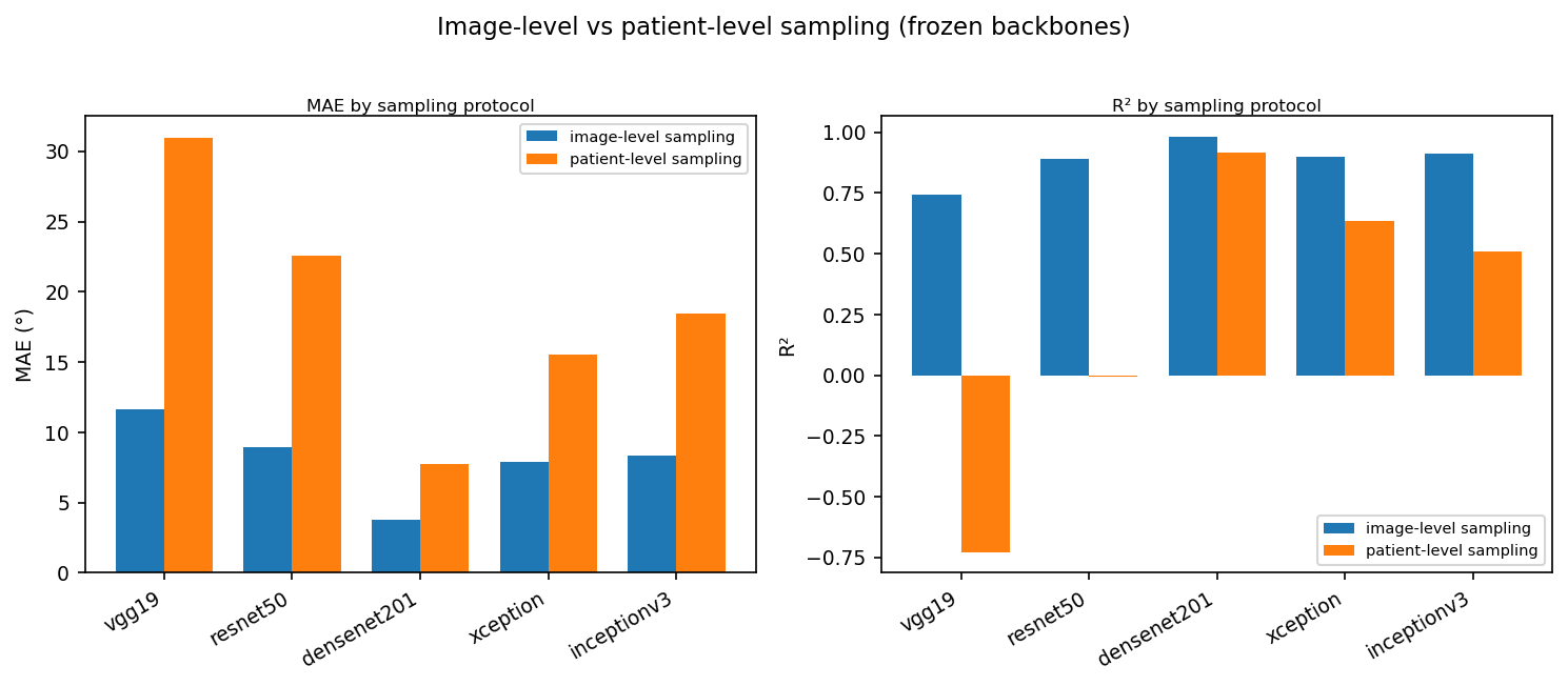 Per-backbone error under image-level vs patient-level sampling
